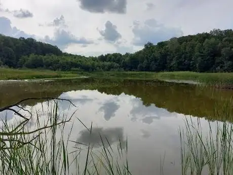Photo de Fauler See/Markendorfer Wald