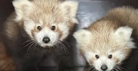 Photo of Bio-Topia Fort-Mardyck - Dunkerque