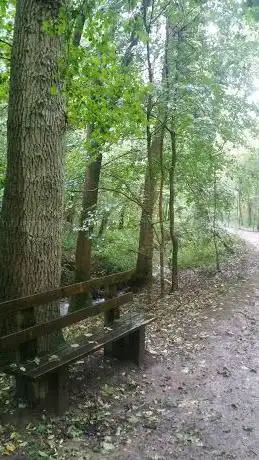 Photo de Ferrière Sébastien