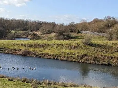 Photo de Hollins Vale Local Nature Reserve