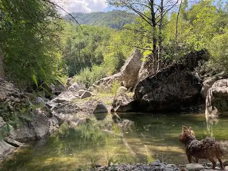 Photo de Falesia di Sperongia