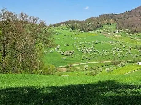 Photo of Schwestern von Grandchamp