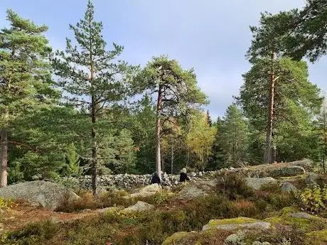 Photo de Salsta fornborg