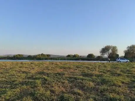 Photo de Uluabat göl ayağı (şarlak)