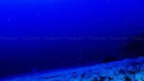 Photo de Sea Dalış Merkezi