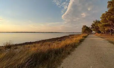 Photo de Plaža i šuma  Punta Velebit
