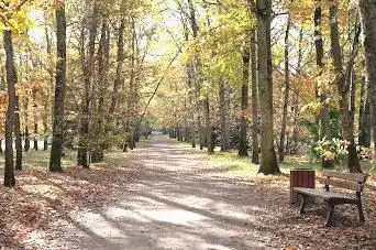 Photo de Promenade de l'Allée des sapins