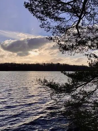 Photo de Halen