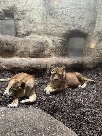 Photo de Zoološki vrt Maksimir