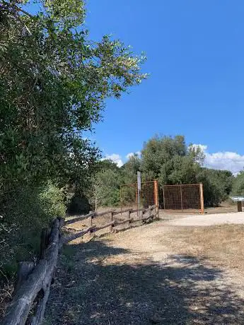 Photo de Piazzetta Del Cinghiale