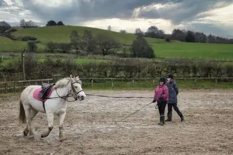 Photo de ZEBRA equine services