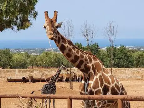 Photo de Zoosafari Fasanolandia
