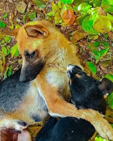 Photo de Gönen