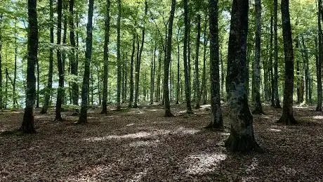Photo de Norrnäs udde