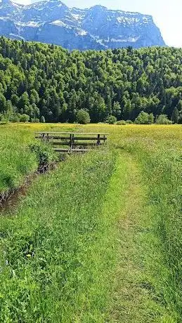 Photo de Barfußweg - Bizauer Moos