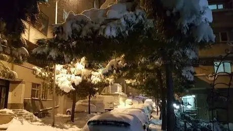 Photo de Bagcilar Municipality of Sultan Selim Park