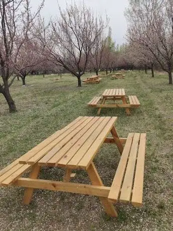Photo de Süvari Paintball Kulübü ve Mesire Alanı Iğdır