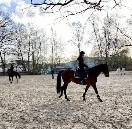Photo de Club Hippique de Versailles