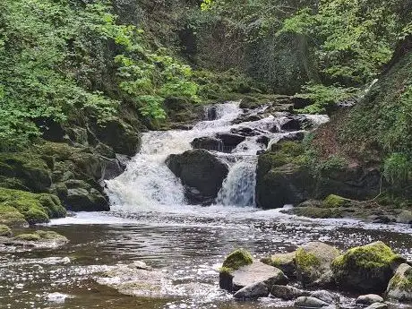 Foto de Crumlin Glen