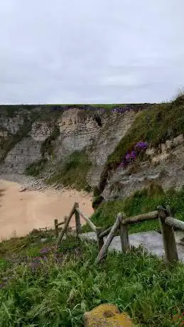 Photo de Playa de Langre