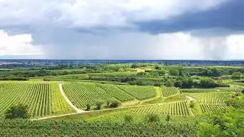 Photo de Aussichtspunkt Kenzingen