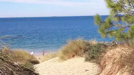 Photo de Plage Les Saumonards