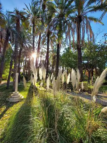 Photo de Huerto del Gato