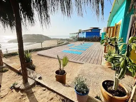 Photo de Ocean Tribe