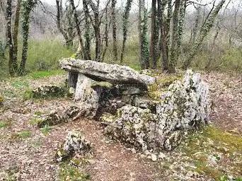 Photo de Dolmen d'Arlait à Château-Larcher
