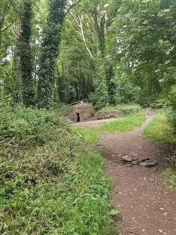 Photo de St. John's Holy Well