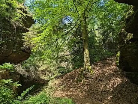 Photo de Teufelsgrund