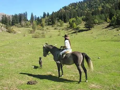 Photo de Cavalls XIC