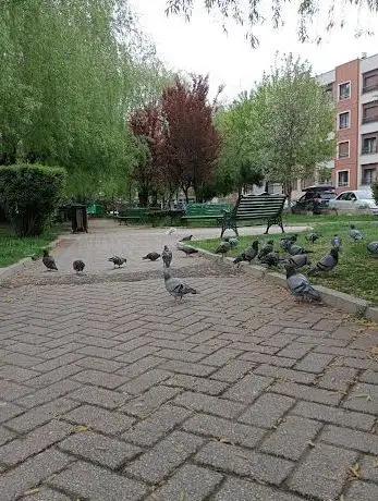 Photo de Seylap Parkı