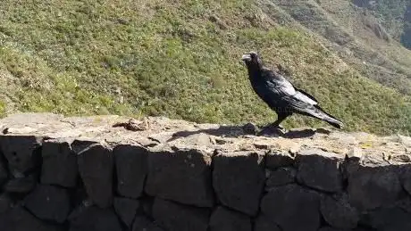 Photo de Mirador Altos de Baracán