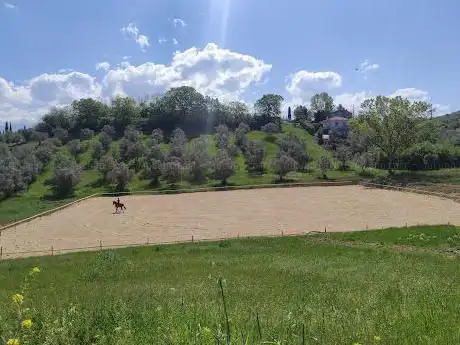 Photo de Centro Equestre Equicare ASD