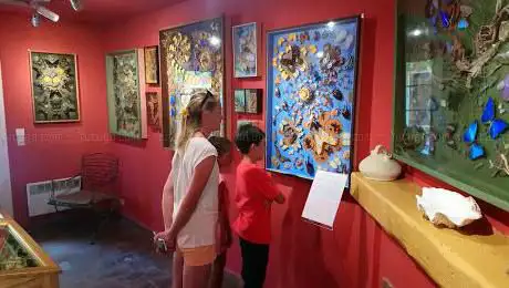 Photo de Butterfly Museum
