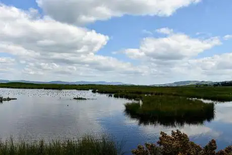 Photo de Loch Leven National Nature Reserve - Pier entrance