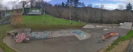 Photo de SKATE GUNEA