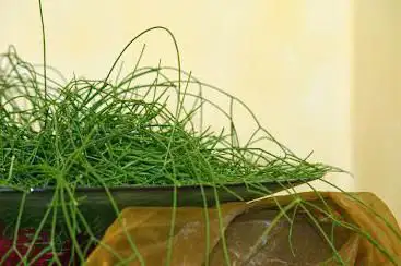 Foto de SPA la grange