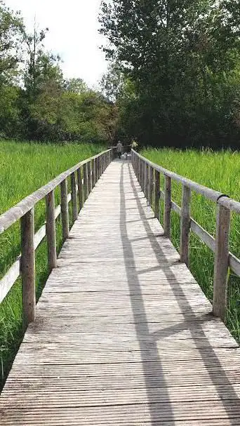 Photo de Perray Natural Park