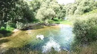 Photo de Münchhausen Sauer Delta