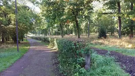 Photo de Stanton Wood