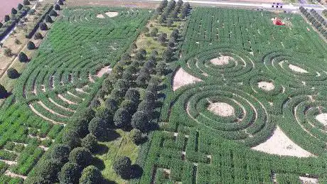 Photo de Labyrinthe de Sénart au Carré