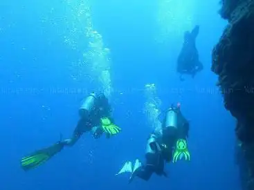 Photo de European Diving Centre
