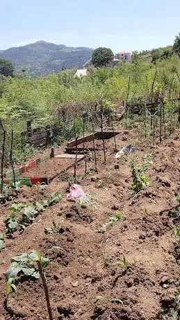 Photo de Şehit Komando Er Ali Çalkam Çocuk Parkı