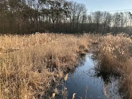 Photo de Osservatorio birdwatching