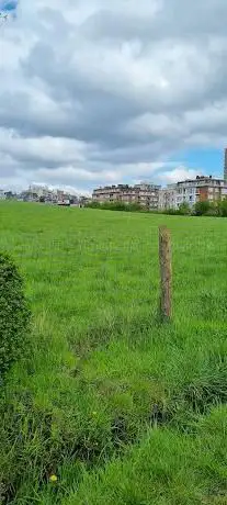 Photo de Zavelenberg