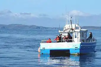 Photo de Whale Watch West Cork