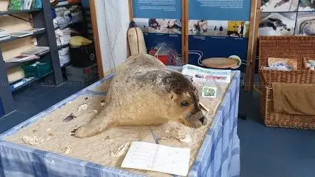 Photo de Robbenzentrum Föhr - zur Rettung der Meeressäuger gemeinnützige UG