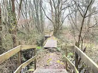 Photo de Tourbière des cent vergées